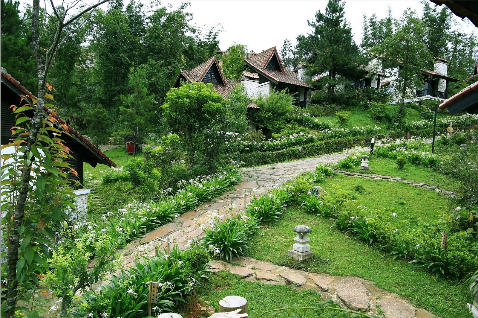 Khuôn viên villa đá Heaven House Sapa giữa vườn cây, lối đi lát đá