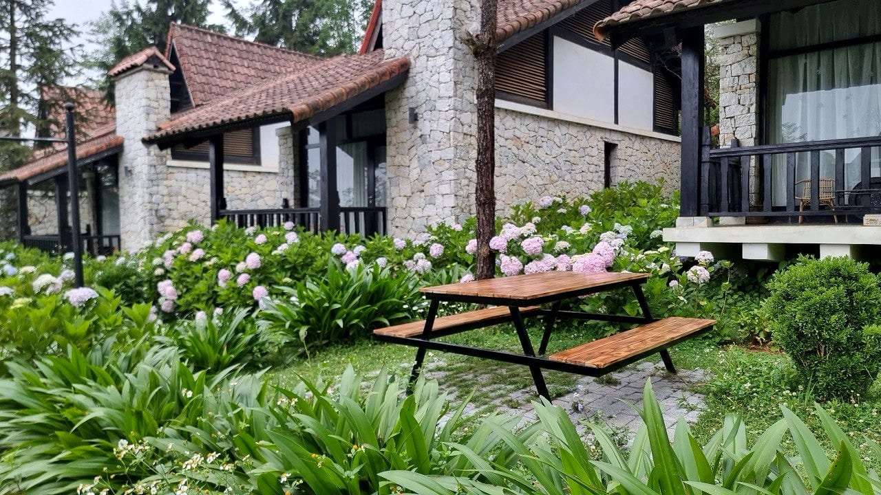 Bàn BBQ picnic giữa vườn hoa cẩm tú cầu