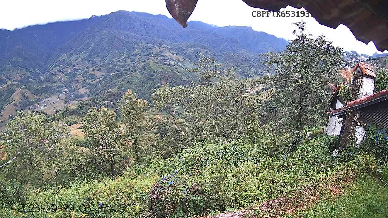 Biển mây Sapa 2026-09-29
