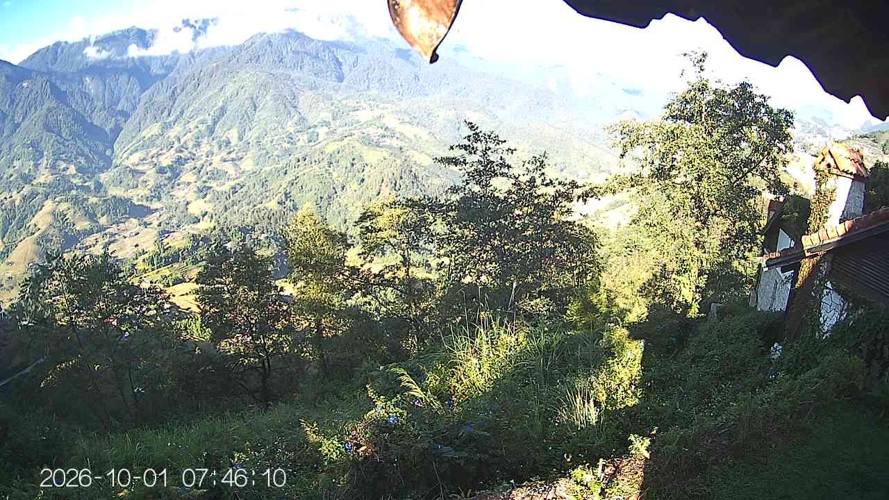 Biển mây Sapa 2026-10-01